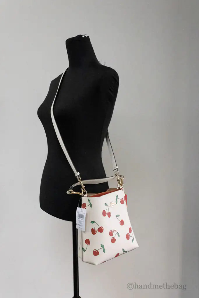 Coach Mollie 22 Small Heart Cherry Coated Canvas Bucket - WanderMart Co.