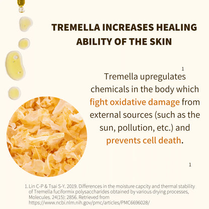 Anti-Aging Tremella & Reishi Mushroom Face Oil Serum - by Fungi Guru - WanderMart Co.