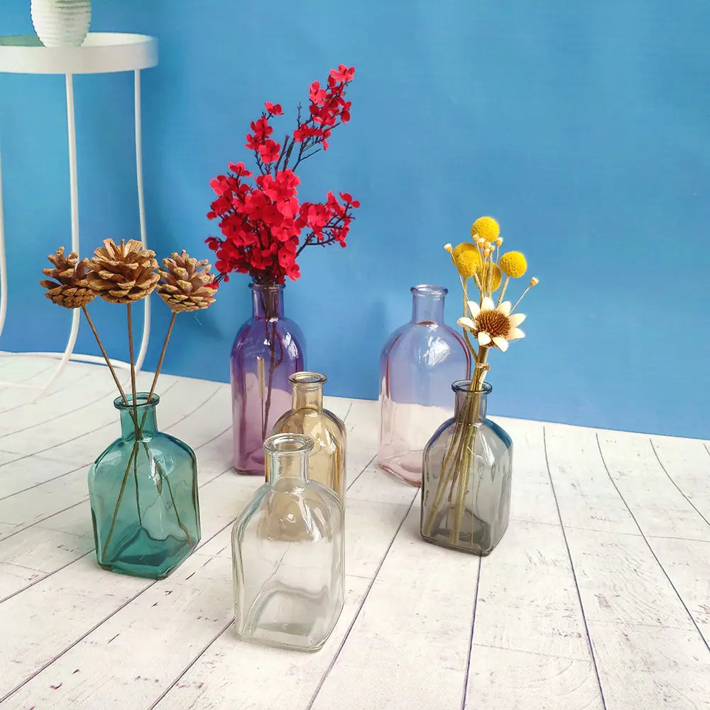 Colorful Glass Vase Transparent Simple Glass Bottle - WanderMart Co.