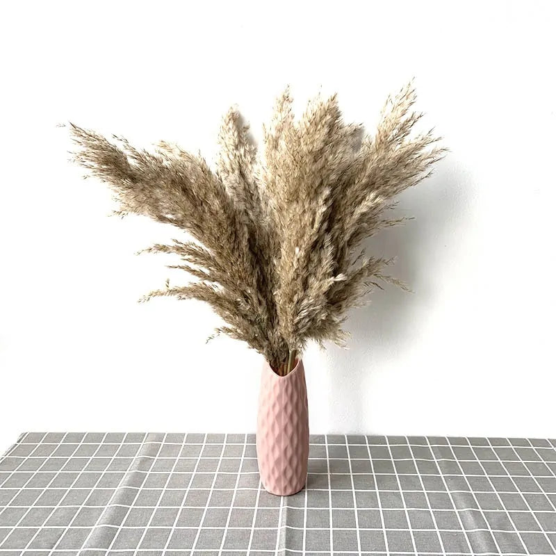 Dried Pampas Grass Home Decor Plant - WanderMart Co.