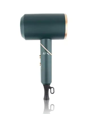 Negative Ion Electric Hair Dryer - WanderMart Co.