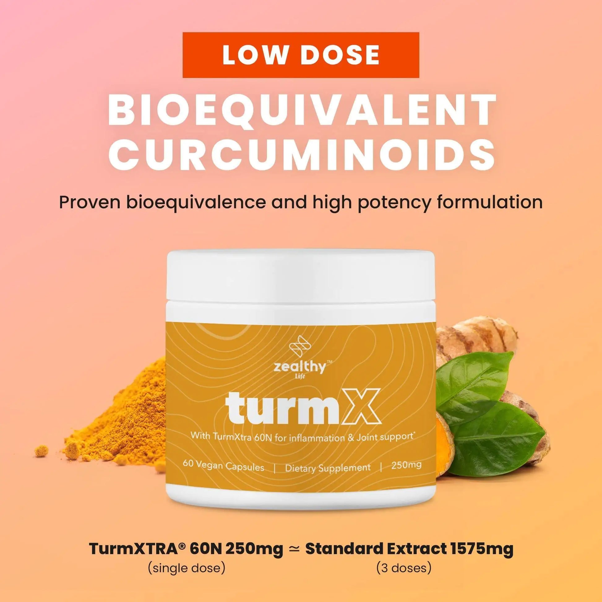 Turmeric Supplement Supports Joint Immune System Brain Skin 250 mg per Capsule - WanderMart Co.