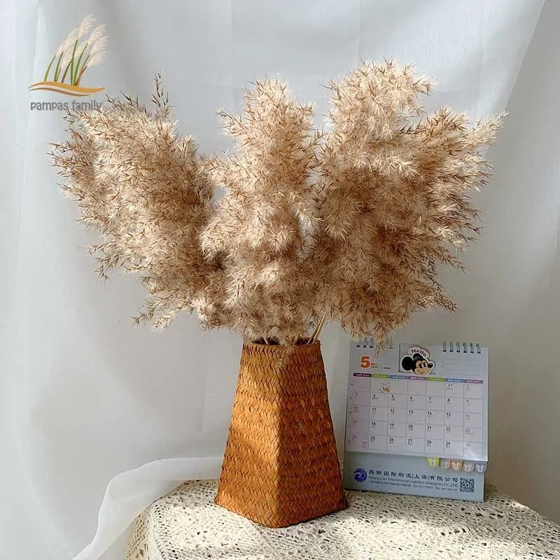 Dried Pampas Grass Home Decor Plant - WanderMart Co.