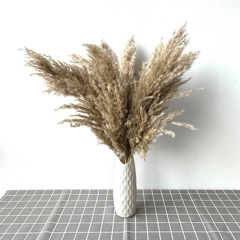 Dried Pampas Grass Home Decor Plant - WanderMart Co.