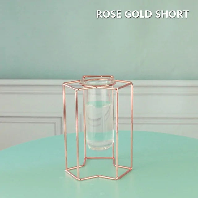 Creative Golden Glass Vase - WanderMart Co.