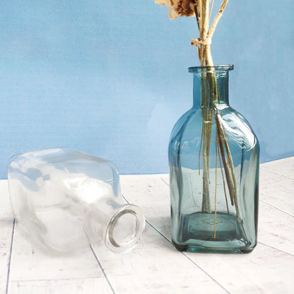 Colorful Glass Vase Transparent Simple Glass Bottle - WanderMart Co.