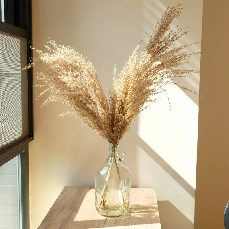 Dried Pampas Grass Home Decor Plant - WanderMart Co.