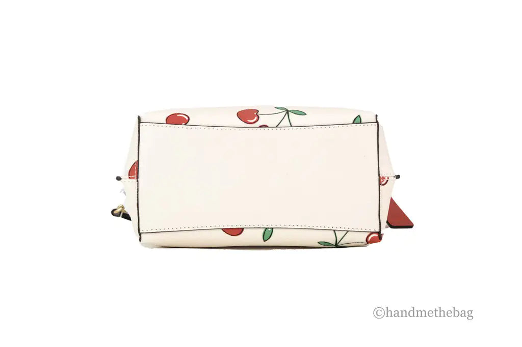 Coach Mollie 22 Small Heart Cherry Coated Canvas Bucket - WanderMart Co.