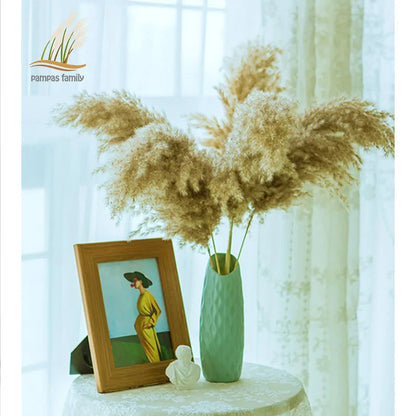 Dried Pampas Grass Home Decor Plant - WanderMart Co.