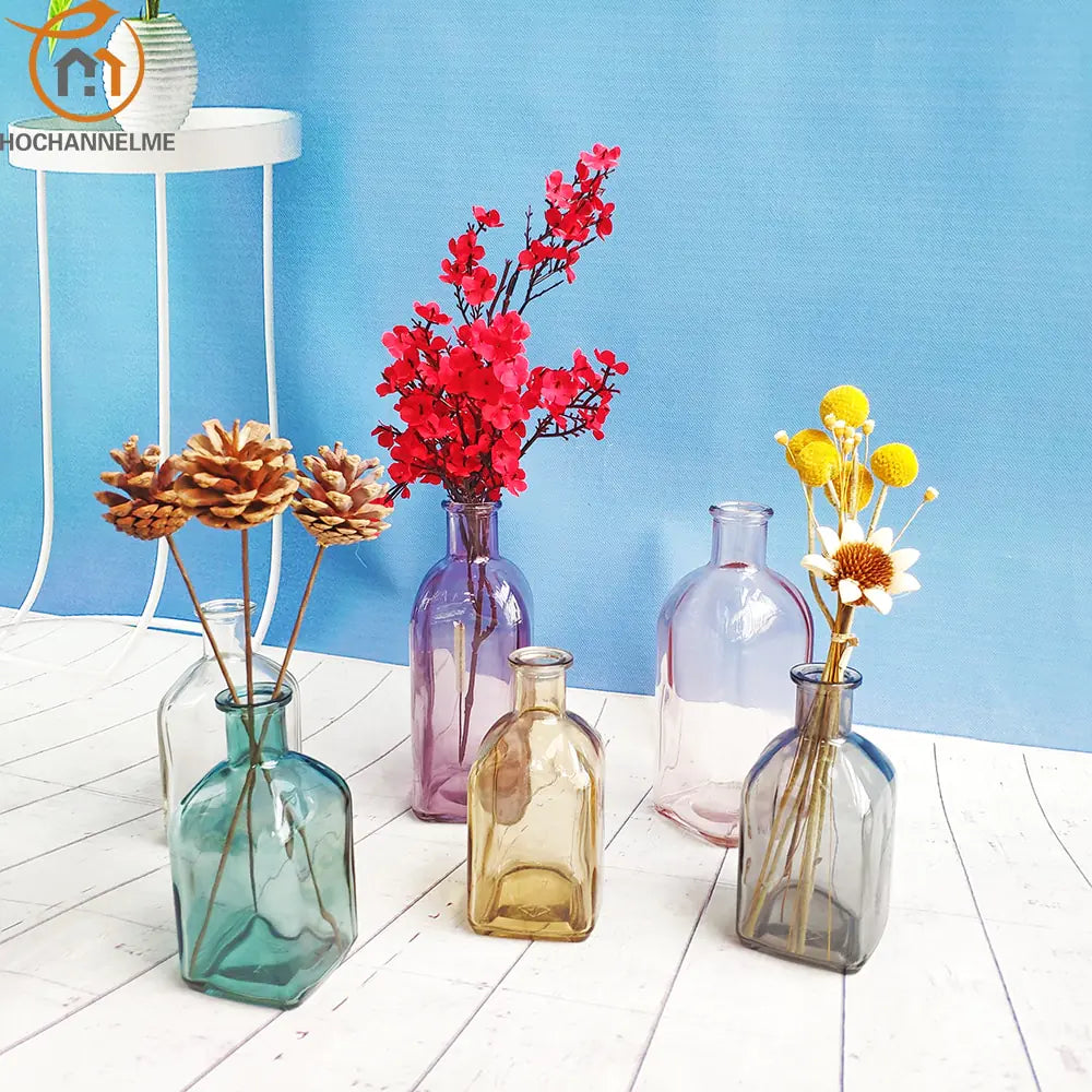 Colorful Glass Vase Transparent Simple Glass Bottle - WanderMart Co.