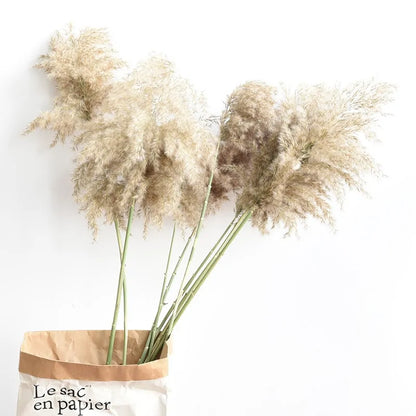 Dried Pampas Grass Home Decor Plant - WanderMart Co.