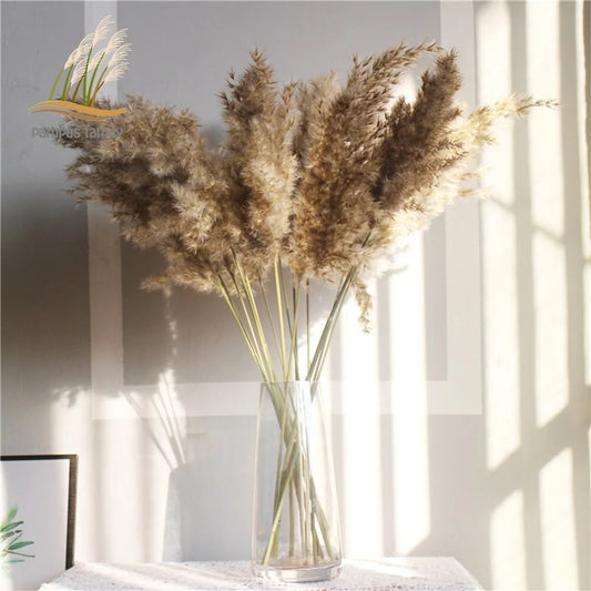 Dried Pampas Grass Home Decor Plant - WanderMart Co.